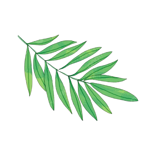 leaf